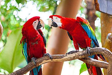 60岁的基努·里维斯已悄然结婚 和对方交往5年